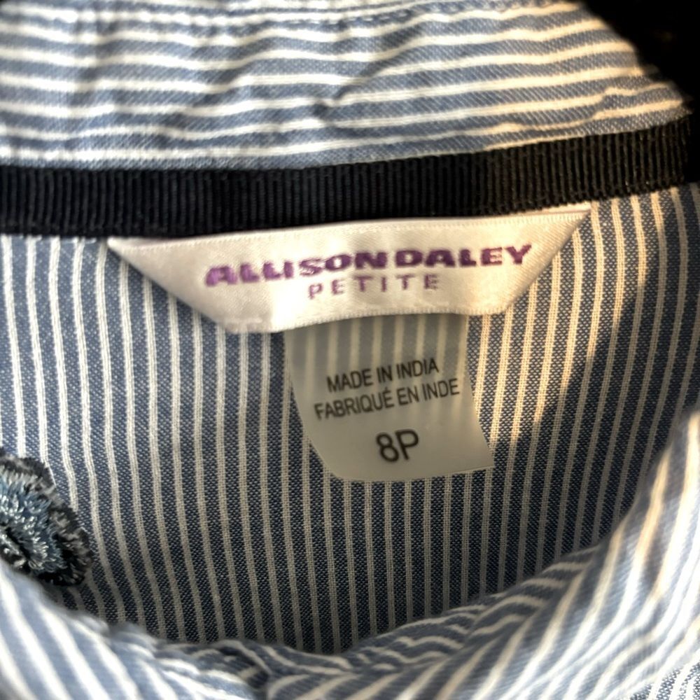 Allison Daley Blue Pinstripe Embroidered Button Down 100% Cotton Blouse Sz 8 - Picture 6 of 7